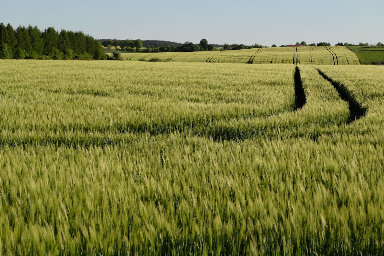 Modern sustainable agricultural facility illustrating Denmark's Agriculture and yes! invest africa