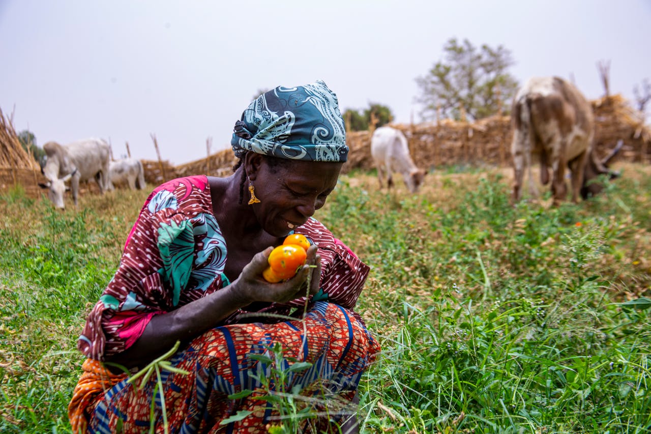 A modern mango processing facility illustrating Mali's Agriculture and Agro-Processing by yes! invest africa.
