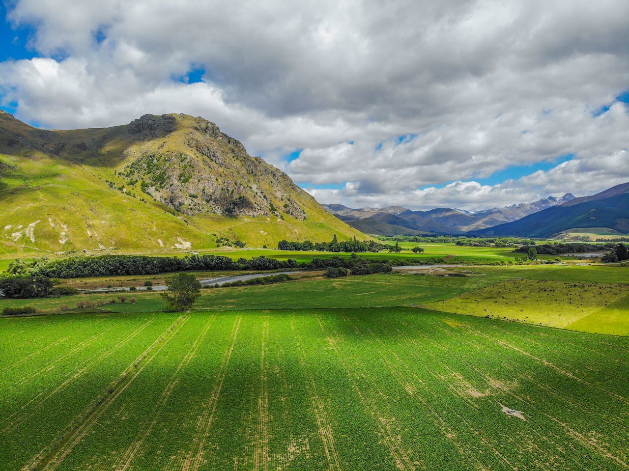 : A precision irrigation sensor in a lush field illustrating New Zealand's Agriculture Tech by yes! invest africa.