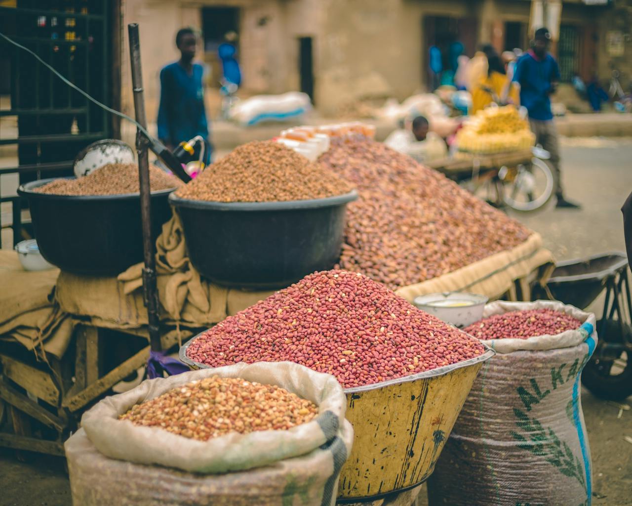 Cash Crop Exports Africa: Global Demand Rise and yes! invest africa.