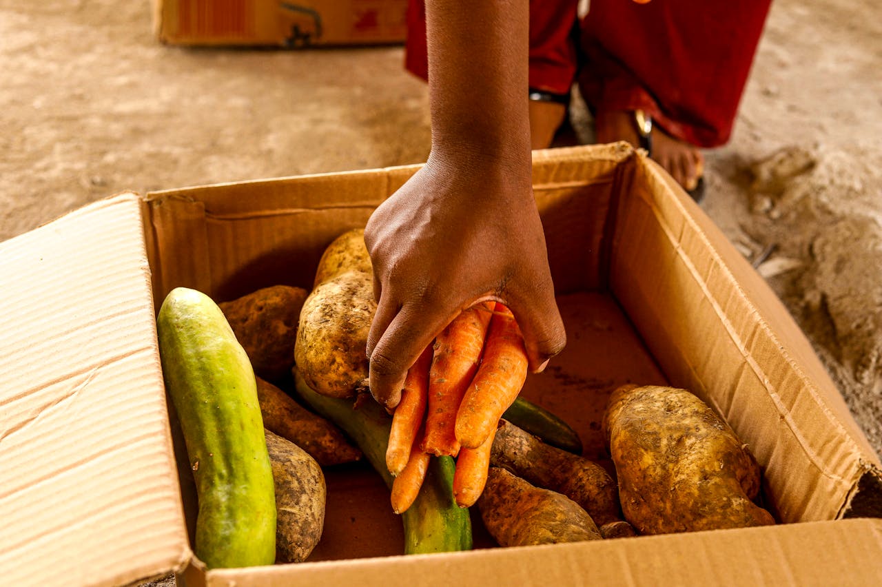Food Security Africa and yes! invest africa.