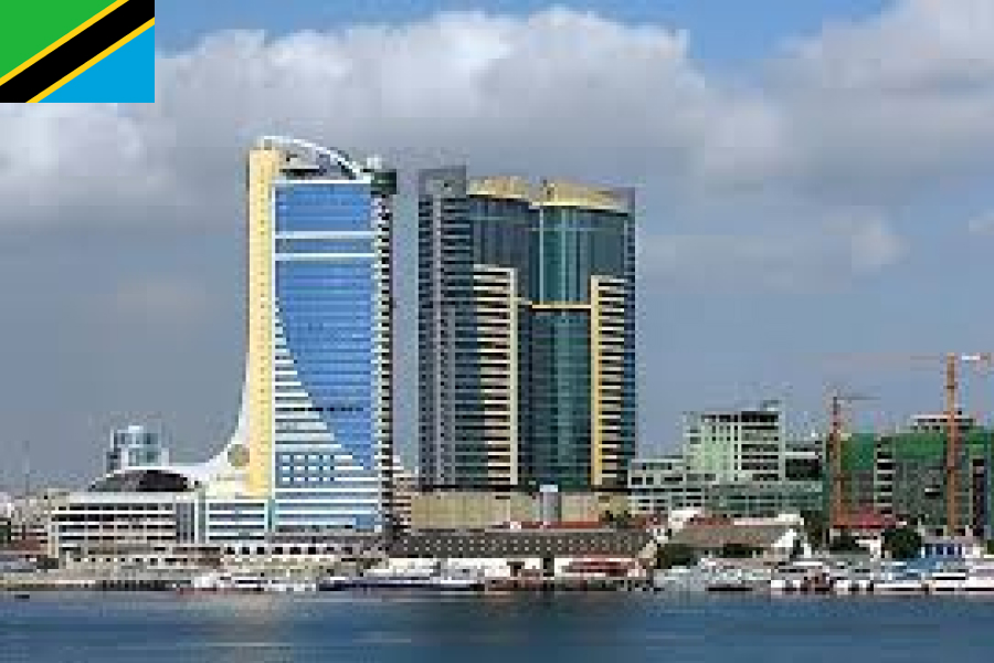 invest in tanzania