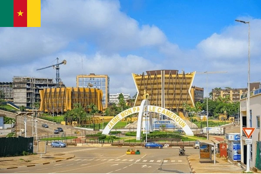 invest in cameroon
