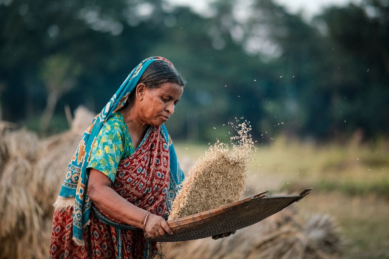 Africa food security investment in farming and food processing — Yes! Invest Africa