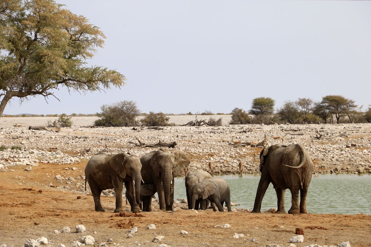 Invest in Namibia mining green hydrogen and eco-tourism opportunities — Yes! Invest Africa