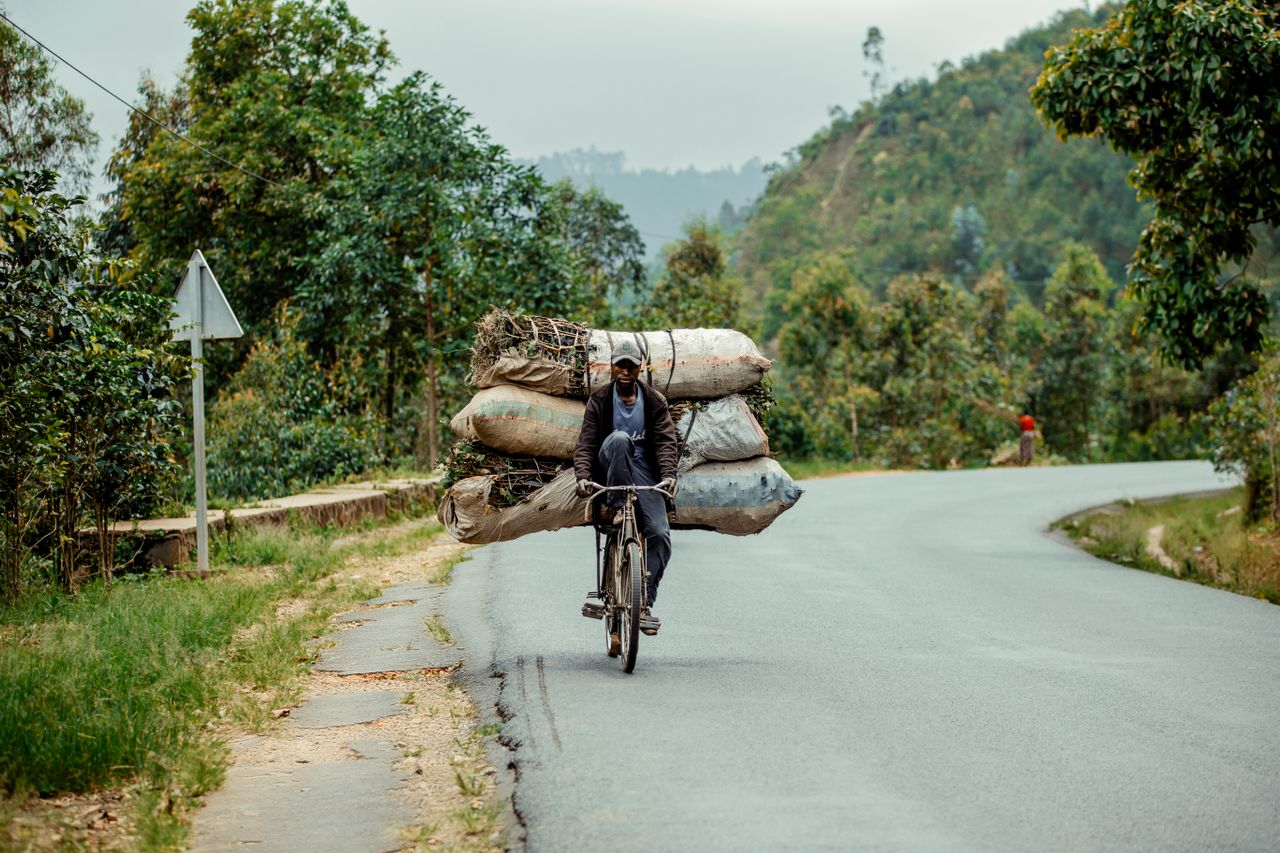 Invest in Republic of Congo oil forestry and agriculture opportunities — Yes! Invest Africa