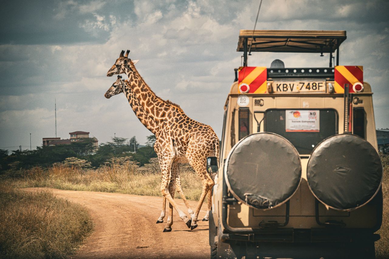 Kenya Safari Lodges by Yes Invest Africa