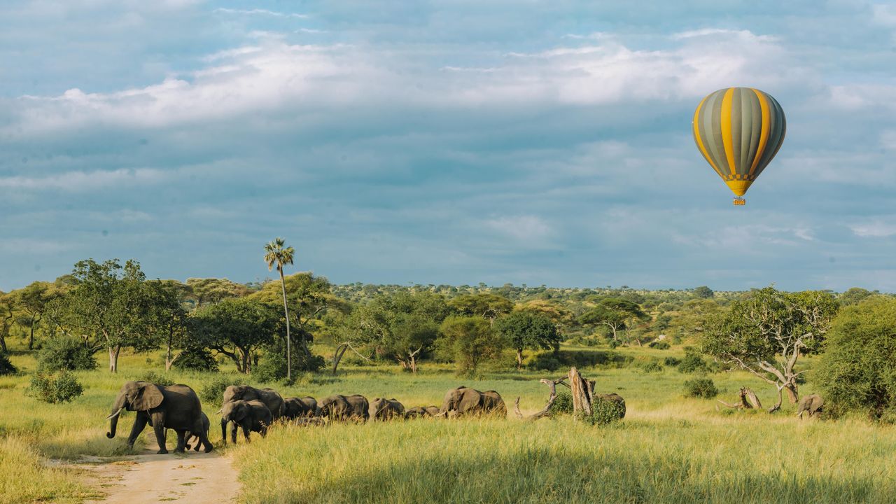 https://www.yesinvestafrica.com/investment-opportunities/tourism-and-hospitality/