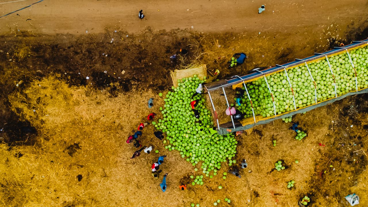 Agro-Processing in Africa: Turning Raw Commodities Into Investment Opportunity | Yes! Invest Africa