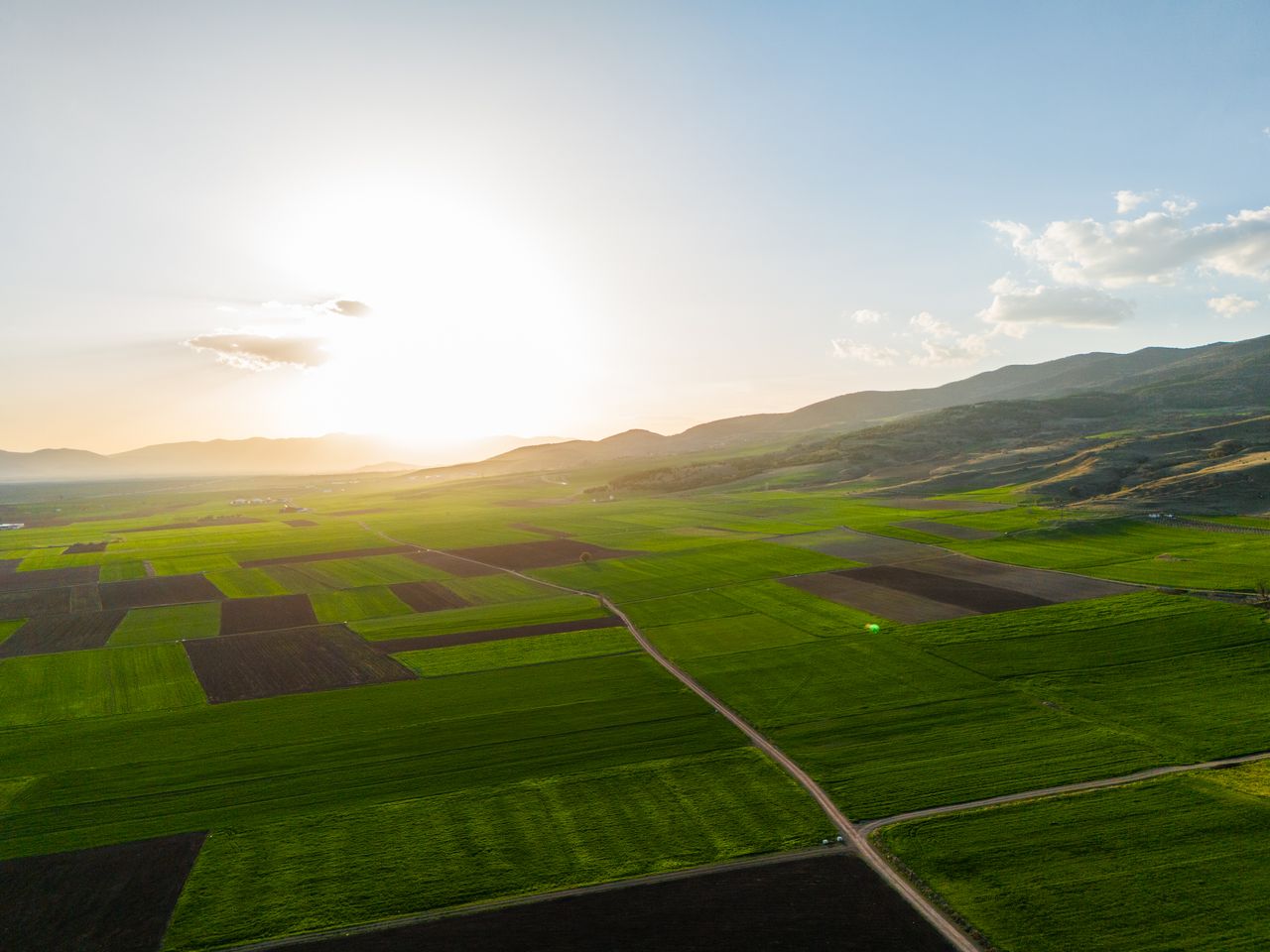 Brazil Investment in Africa Agriculture Opportunity | Yes! Invest Africa