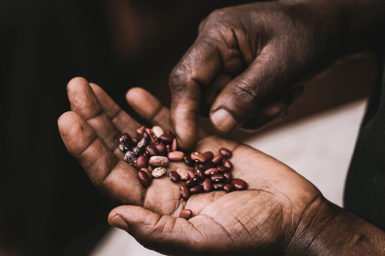 Food Security in Africa: A Key Investment | Yes! Invest Africa