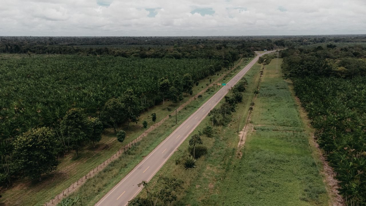 Investment Opportunities in Gabon: Manganese, Timber, Oil and Ecotourism Business Guide | Yes! Invest Africa