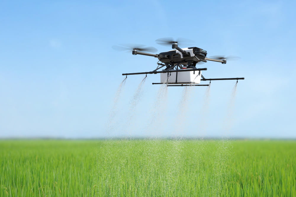 Crop innovation and biotech in agriculture in Africa - Yes Invest Africa