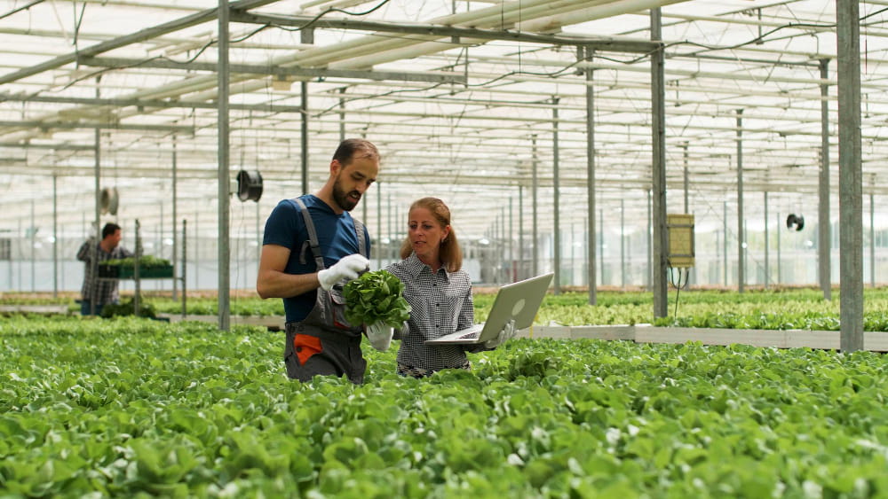 Agri-Tech startup funding opportunities in Africa - Yes Invest Africa